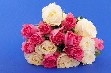 Bouquet roses on blue