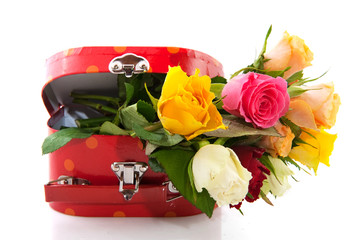 Colorful roses in red suitcase