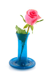 Pink rose in blue vase