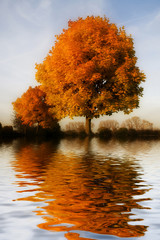 herbst