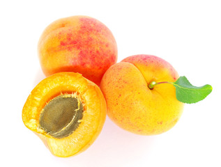 apricots  on white