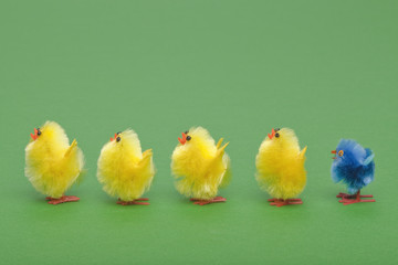 Easter chicks in a line