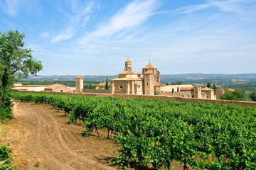 Monastery of Santa Maria de Poblet and vineyards