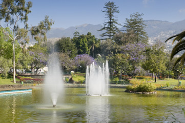 Obraz premium Jardim Botanico