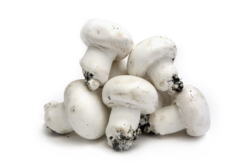 Champignons