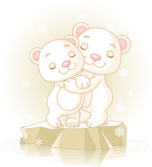 Cute  Polar Bears