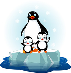 Penguin  family