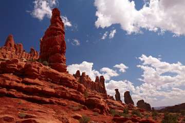 Naklejka premium Red Desert