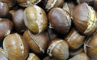 Letto di castagne
