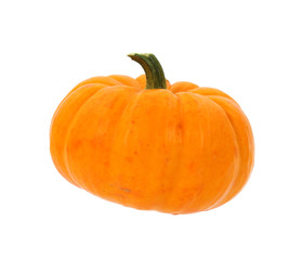 Thanksgiving pie pumpkin