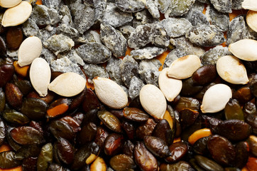 Raw and fried prepared different pumpkin seeds