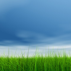 Plakat High resolution grass and sky background