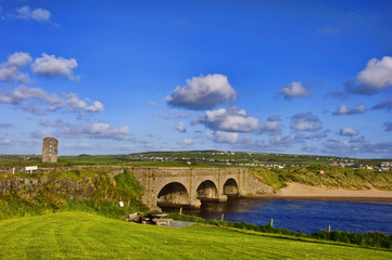 Fototapeta premium capture of vibrant nature landscape