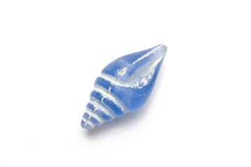 plastic seashell isolated in white background