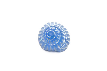 plastic seashell isolated in white background