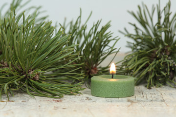 Kerze mit Kiefernzweig