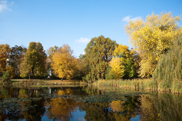 Fototapeta na wymiar See im Park im Herbst