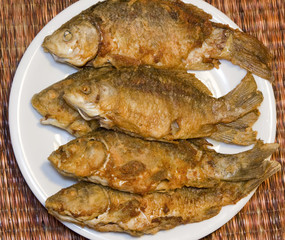 Fried fish in plate