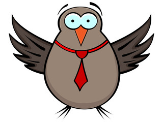 bird vector illustration