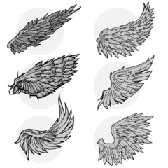 vector wing set