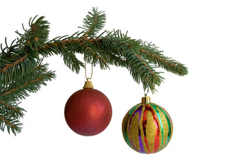 The fir-tree branch with christmas balls on white background
