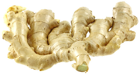 gingembre, Zingiber officinale fond blanc