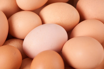close up of eggs