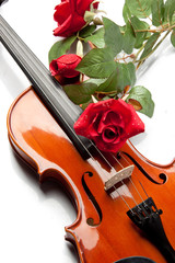 Fototapeta premium Violin and rose