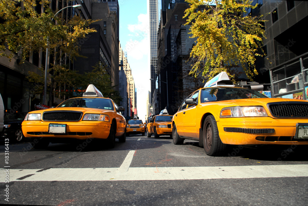 Wall mural yellow cabs