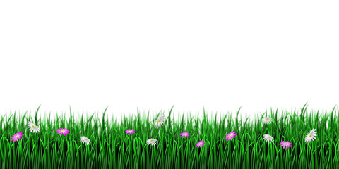 BLUMENWIESE