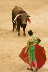 Gordijnen corrida 3 © LOo