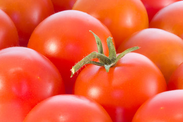 tomates rojos maduros