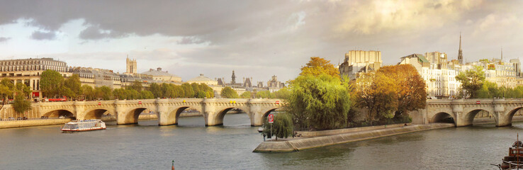 Fototapeta na wymiar bridge and building at the historical center of Paris