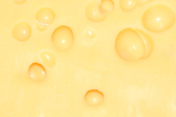 background with the image of a cheese