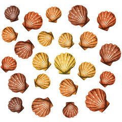 conchiglia
