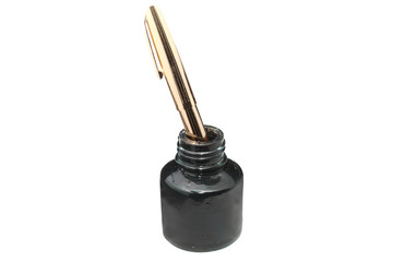 ink pen into an phial with ink