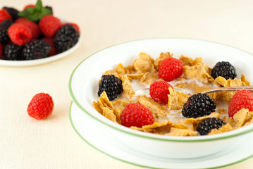 Bowl of cereal with fresh berries.