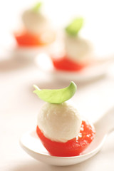 Amuse Gueule - Tomato, Mozzarella, and Basil
