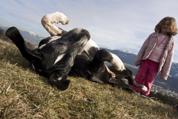 MEIN FREUND DER HUND