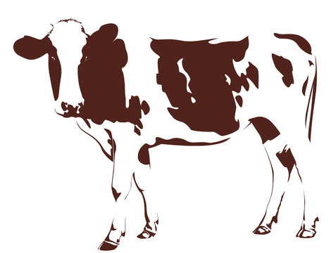 cow