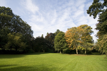 Plakat Landscape with green grass and trees