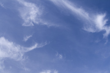 Obraz premium Fresh clear Blue sky with Wispy clouds