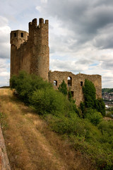 Fototapeta na wymiar Ehrenfels castle on the Rhein river