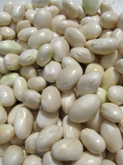 haricots