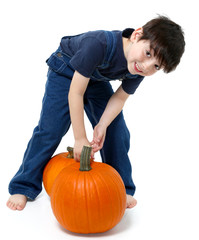 Boy Picking Pumpkins - obrazy, fototapety, plakaty