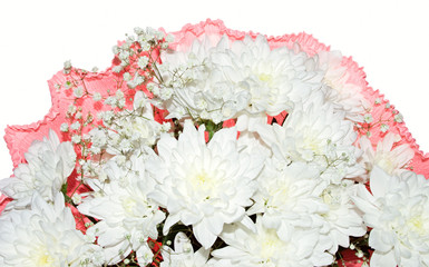 Bunch of flowers on the white background.