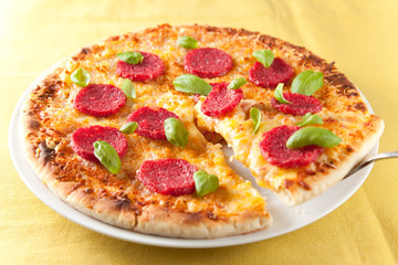 cheese and pepperoni pizza