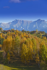 Beautiful mountain autumn scenery with blue sky