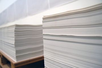 Stacks Of Paper