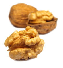 Walnuts isolated on white
